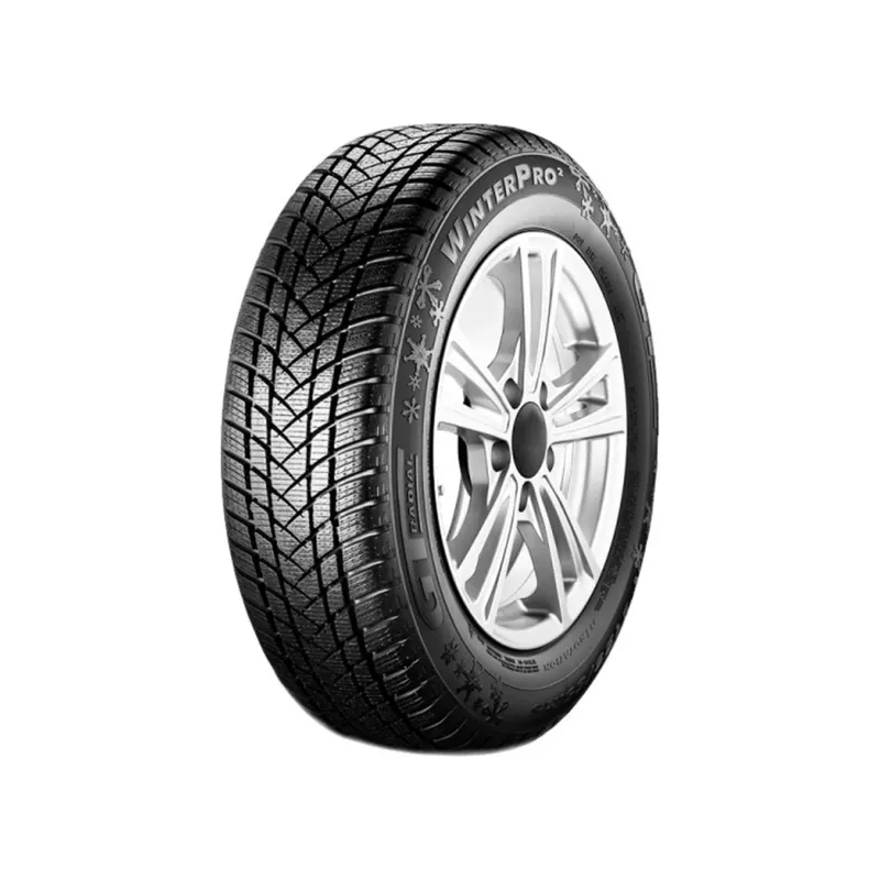 Spedizione Espresso 205/55 R17 95 H Gt-radial Winterpro2 Bsw