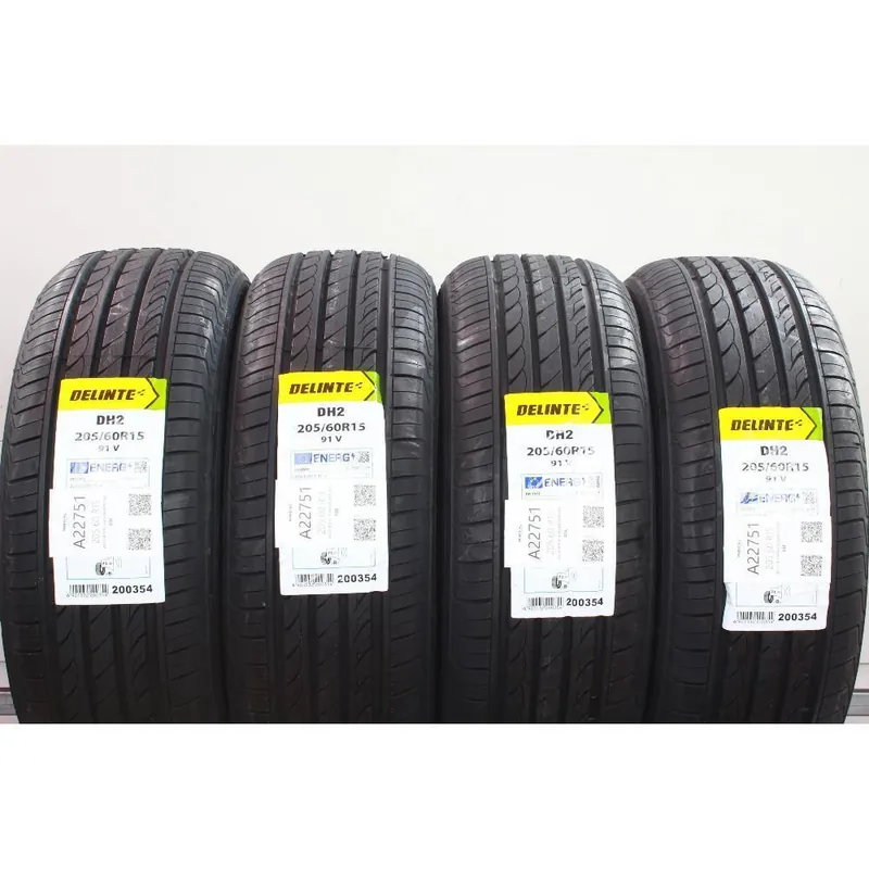 205 60 R15 91V M+S DELINTE DH2 Promozione
