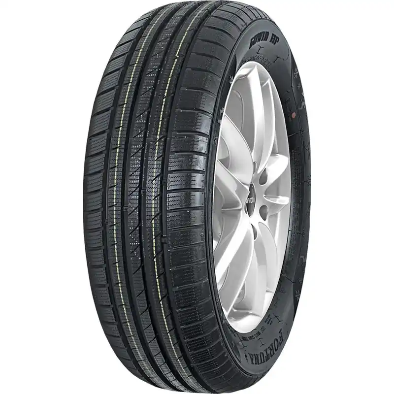 Miglior Prezzo 205 60 R16 92H M+S FORTUNA GOWIN HP