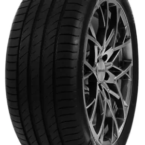 Promo Stagionale DELINTE 195/55 VR16 TL 91V DELINTE DS2 XL