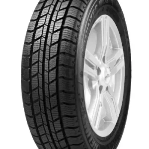 DELINTE 205/65 R16 TL 107T DELINTE WD2 Novità