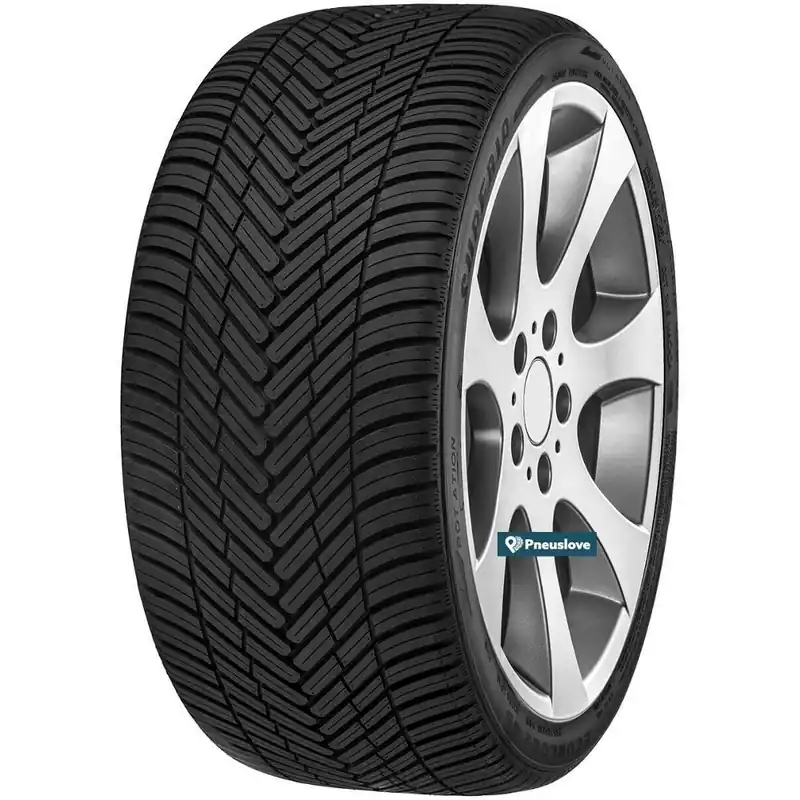 205 60 R16 96V XL M+S SUPERIA ECOBLUE 2 4S Spedizione Espresso