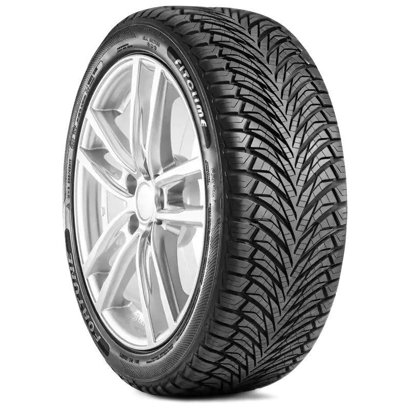 Nuova Collezione 205 55 R016 94V FORTUNE FITCLIME FSR-401 XL FSL
