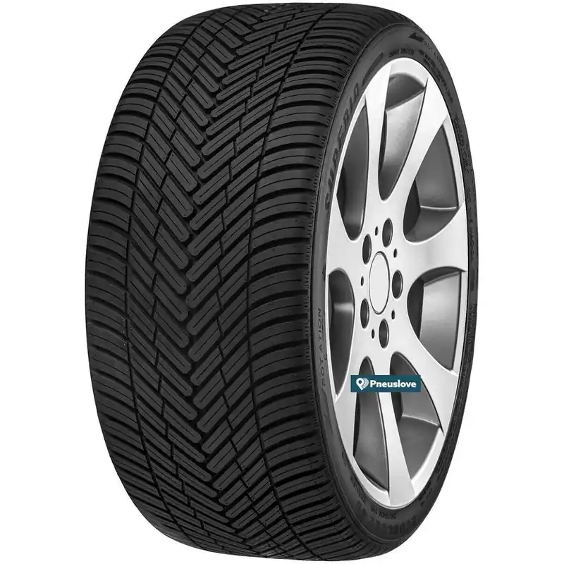 205 55 R16 91H M+S SUPERIA ECOBLUE 4S Offerta