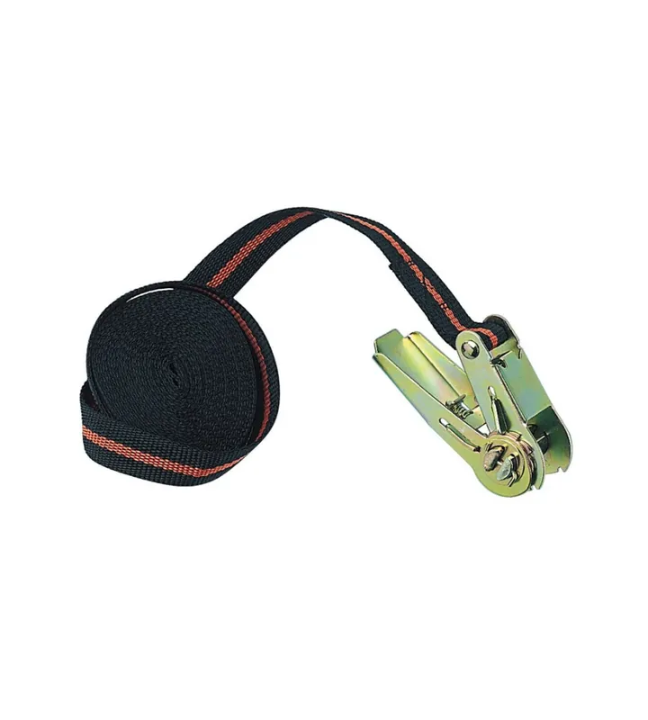 Ordina Subito Nastro tensore con cricchetto lampa 500 cm - cod. 60161