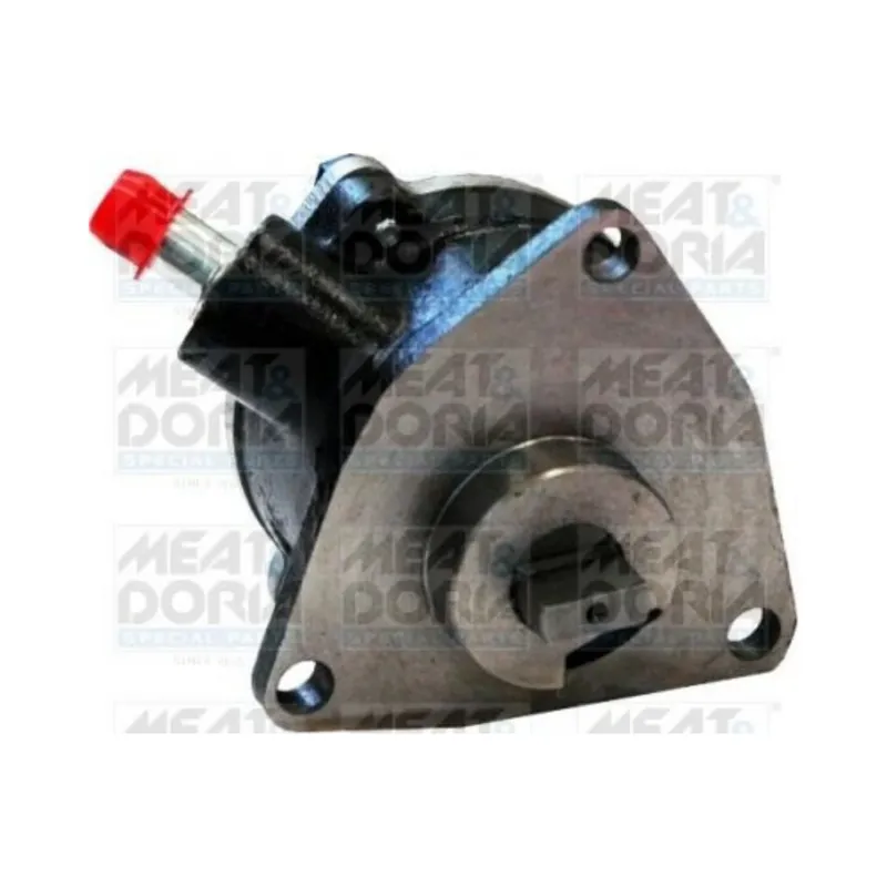 Ultime Pezzi 91002 MEAT&DORIA - POMPA DEPRESSORE SISTEMA FRENANTE FIAT 55205443