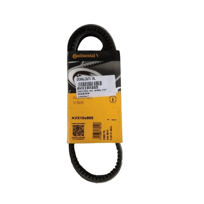 Cinghia trapezoidale AVX10X865 CONTINENTAL CTAM per PEUGEOT CITROEN BMW AUDI VW Consegna Rapida