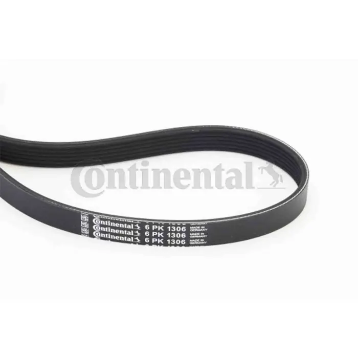 Cinghia Poly-V 6PK1306 CONTINENTAL CTAM per FORD NISSAN VOLVO MAZDA Offerta Speciale