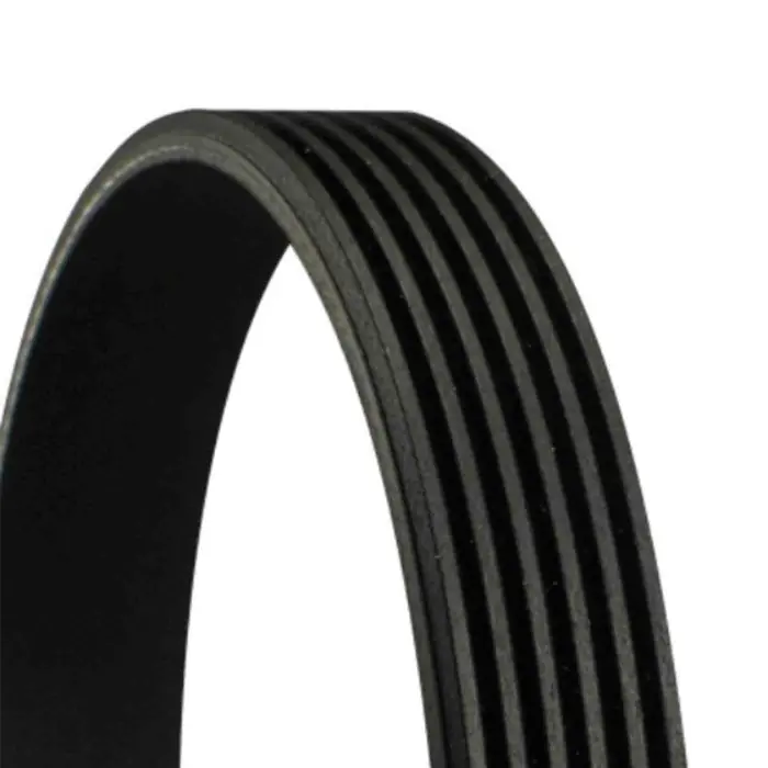 Cinghia Poly-V 6PK986 CONTINENTAL CTAM per BMW FIAT HONDA Offerta Del Giorno