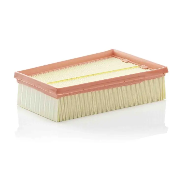 Reso Gratuito Filtro aria C 2433/2 MANN-FILTER per RENAULT NISSAN