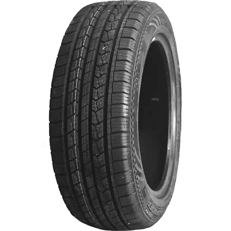 Prezzo Ridotto DOUBLE STAR DS 01 245/70 R16 107T TL