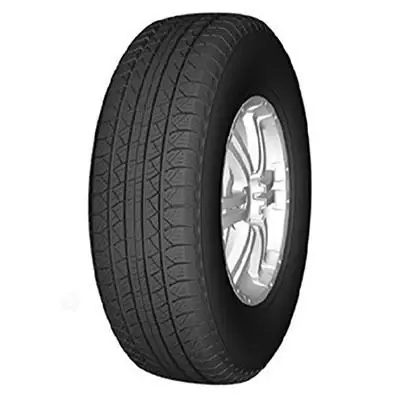 Più Venduto LANVIGATOR PERFORMAX 255/65 R16 109H TL
