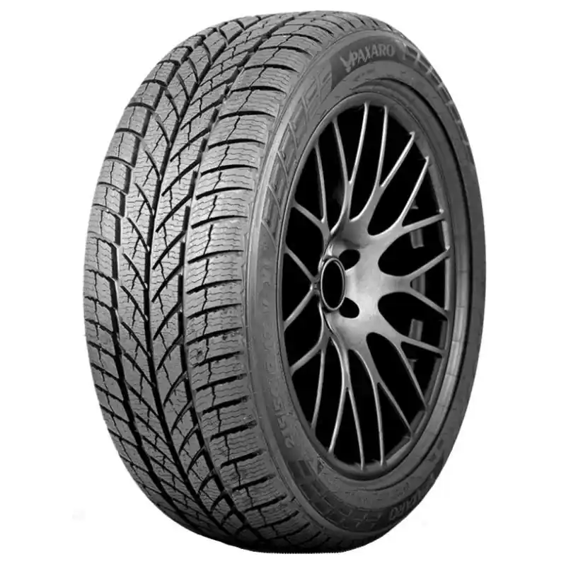PAXARO INVERNO XL 225/45 R18 95V TL M+S 3PMSF Consegna Rapida