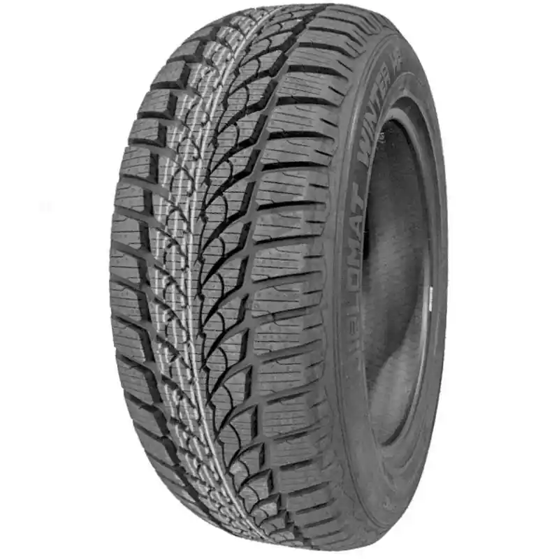 DIPLOMAT WINTER HP 195/65 R15 91H TL M+S 3PMSF Acquista Ora