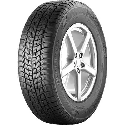 Acquista Ora GISLAVED EUROFROST 6 XL 225/60 R17 103H TL M+S 3PMSF
