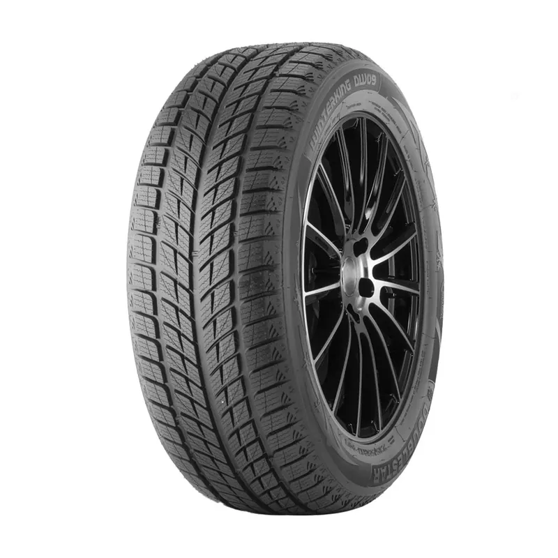 DOUBLE STAR WINTERKING DW09 215/55 R18 95H TL M+S 3PMSF Acquista Ora